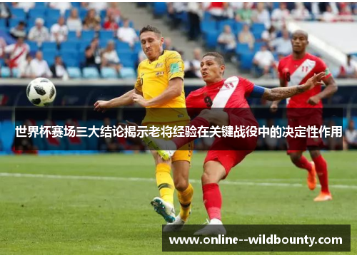 世界杯赛场三大结论揭示老将经验在关键战役中的决定性作用 世界杯赛场三大结论揭示老将经验在关键战役中的决定性作用