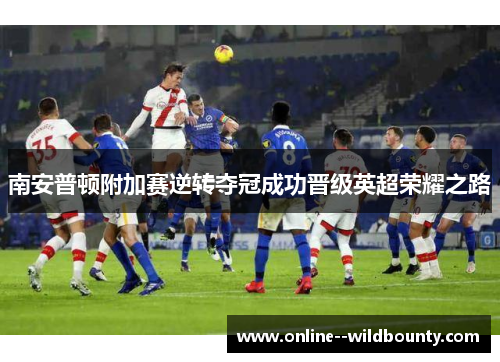 南安普顿附加赛逆转夺冠成功晋级英超荣耀之路