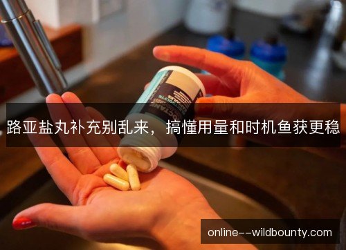 路亚盐丸补充别乱来，搞懂用量和时机鱼获更稳